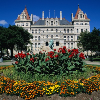 Tracking the contested state Senate primary races in New York