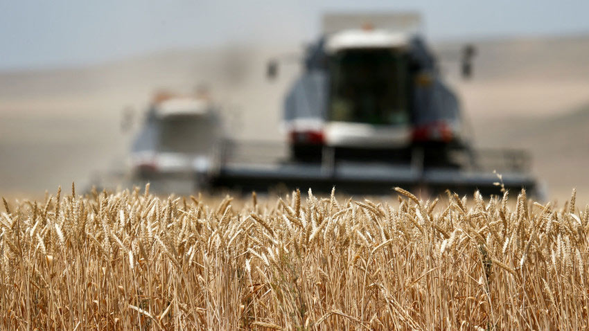 Dominican Republic boosts agricultural growth with Brazilian support