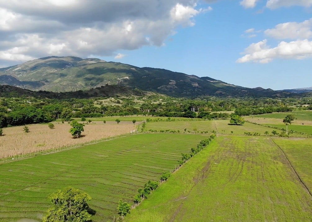 San Juan Farmers Protest: Dominican Police Detain Five Leaders Over Debt